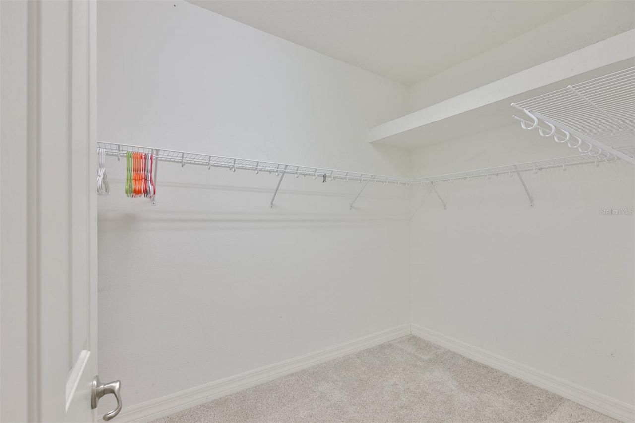 16508 Amberwind Lane, Lutz, FL 33558 Photo