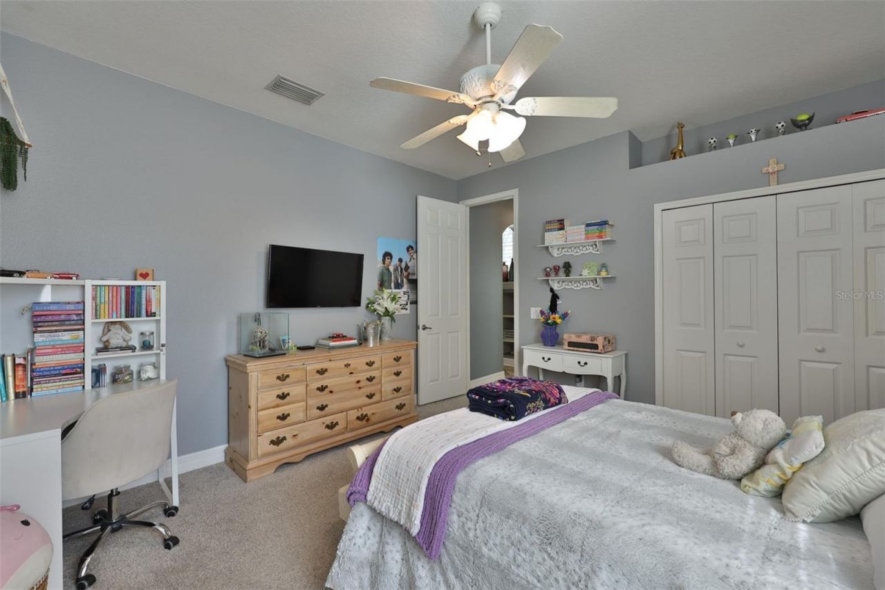 16508 Amberwind Lane, Lutz, FL 33558 Photo