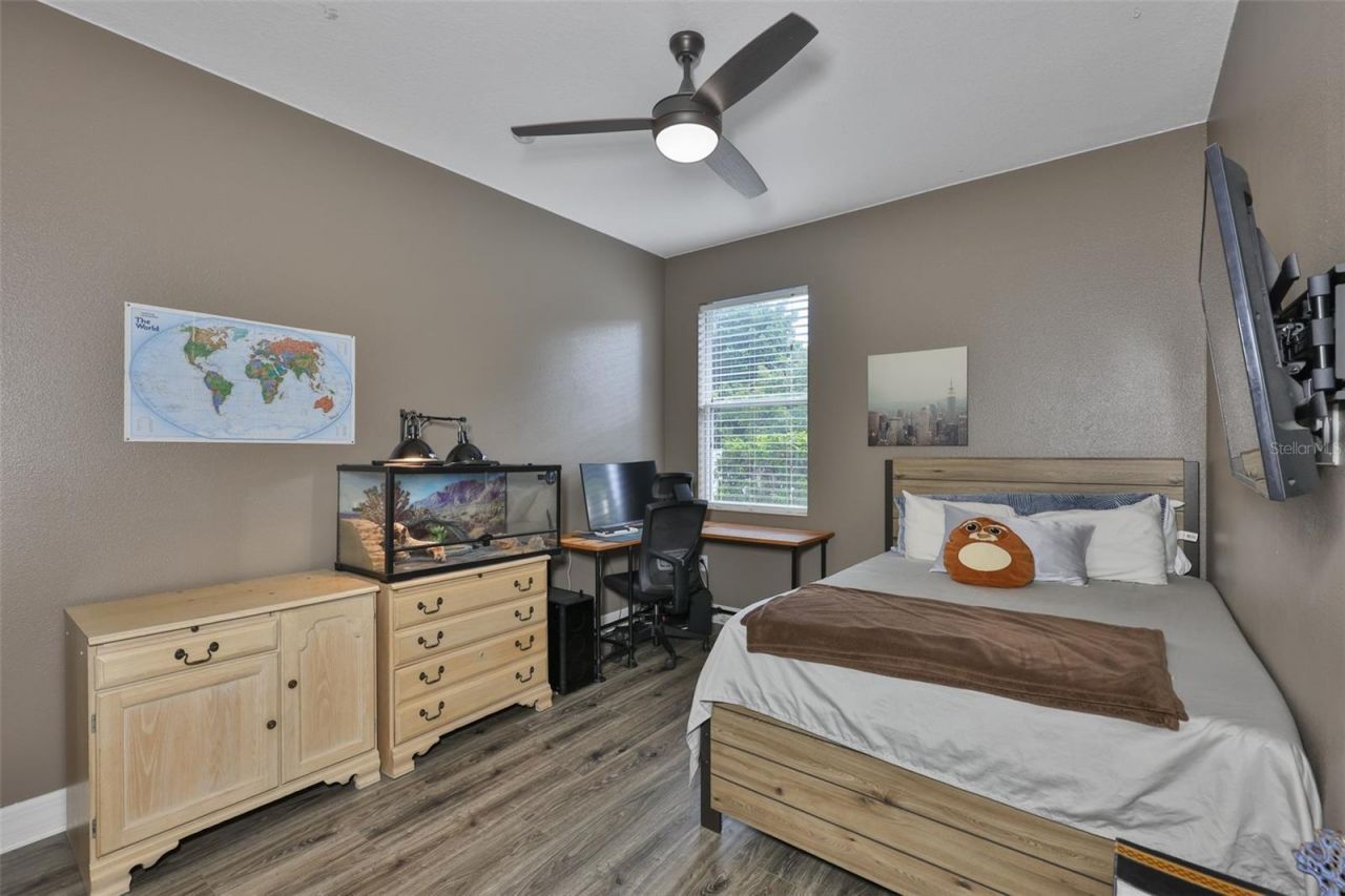 16508 Amberwind Lane, Lutz, FL 33558 Photo