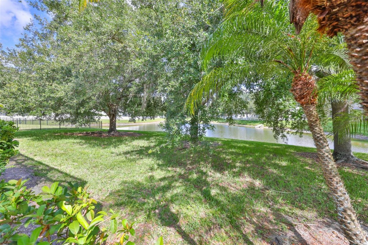 16508 Amberwind Lane, Lutz, FL 33558 Photo