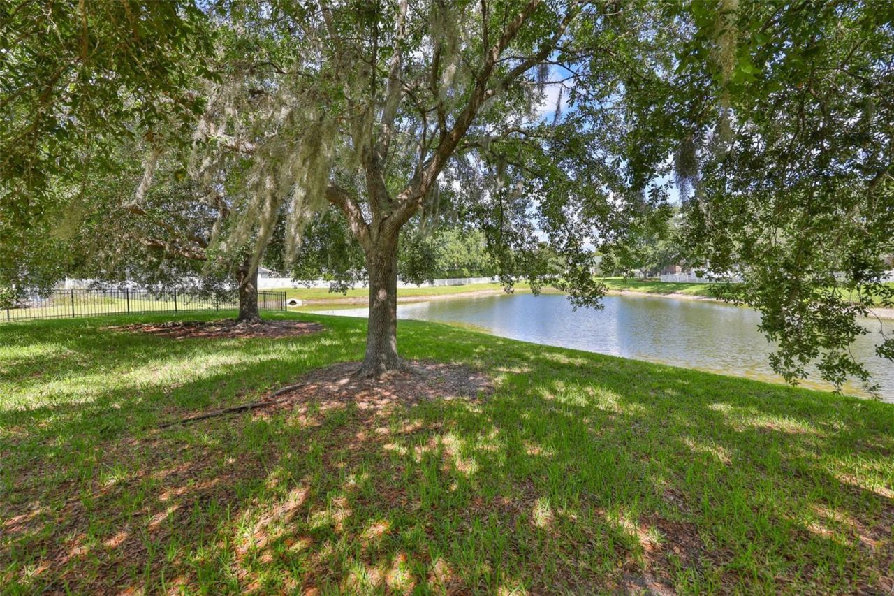 16508 Amberwind Lane, Lutz, FL 33558 Photo