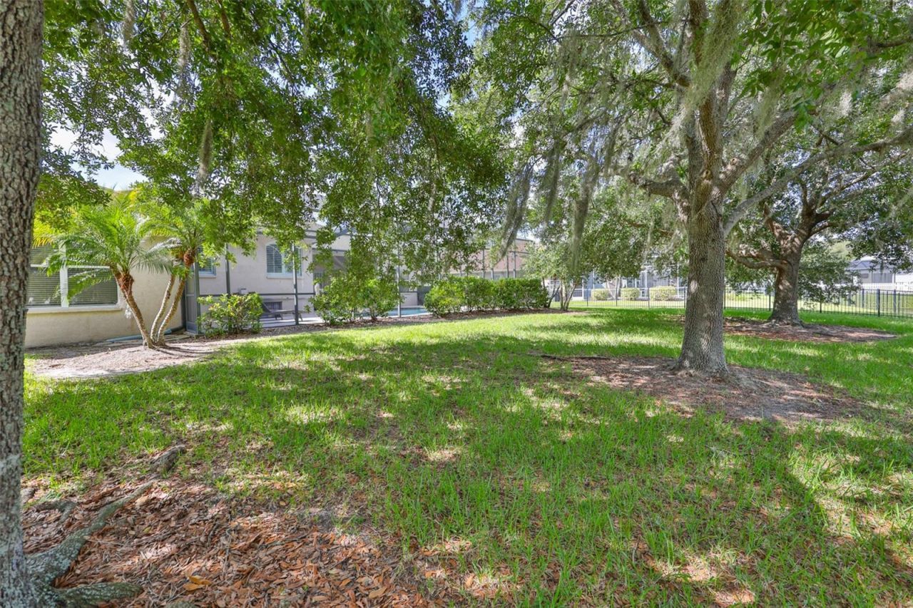 16508 Amberwind Lane, Lutz, FL 33558 Photo