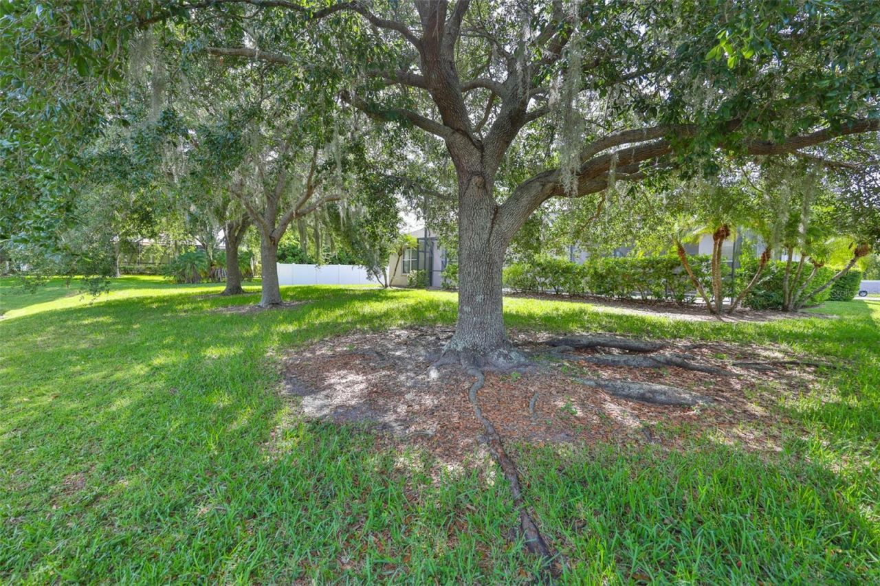 16508 Amberwind Lane, Lutz, FL 33558 Photo