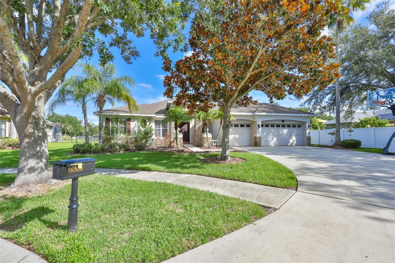 16508 Amberwind Lane, Lutz, FL 33558 Photo