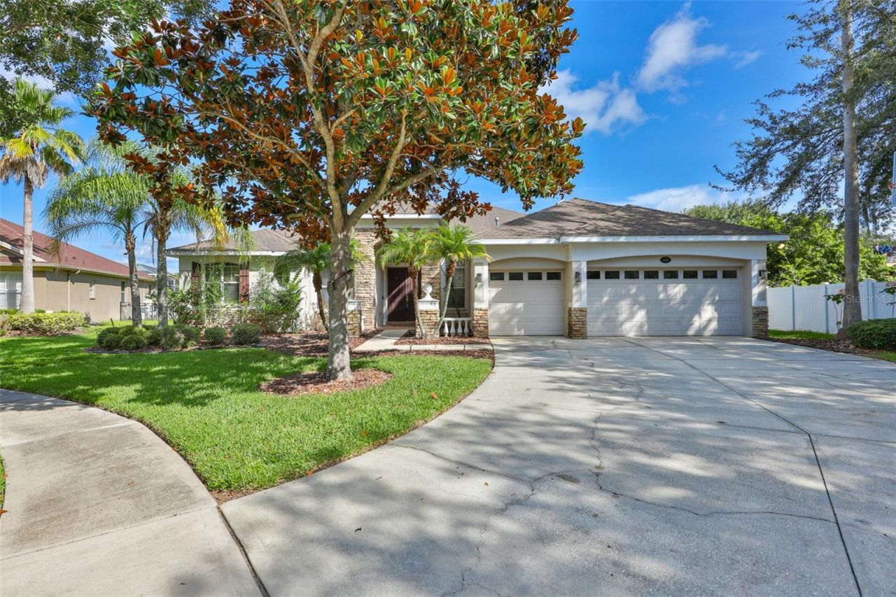 16508 Amberwind Lane, Lutz, FL 33558 Photo