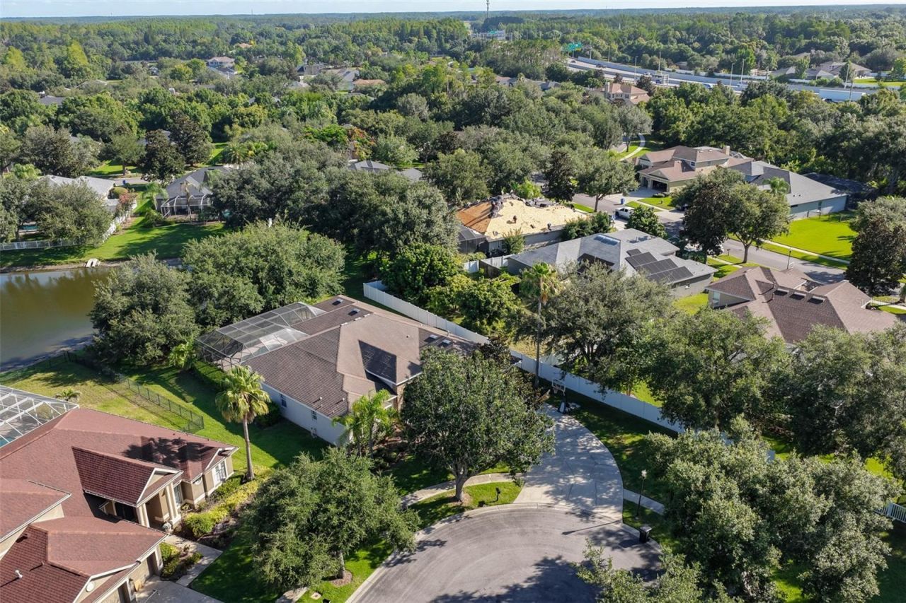 16508 Amberwind Lane, Lutz, FL 33558 Photo