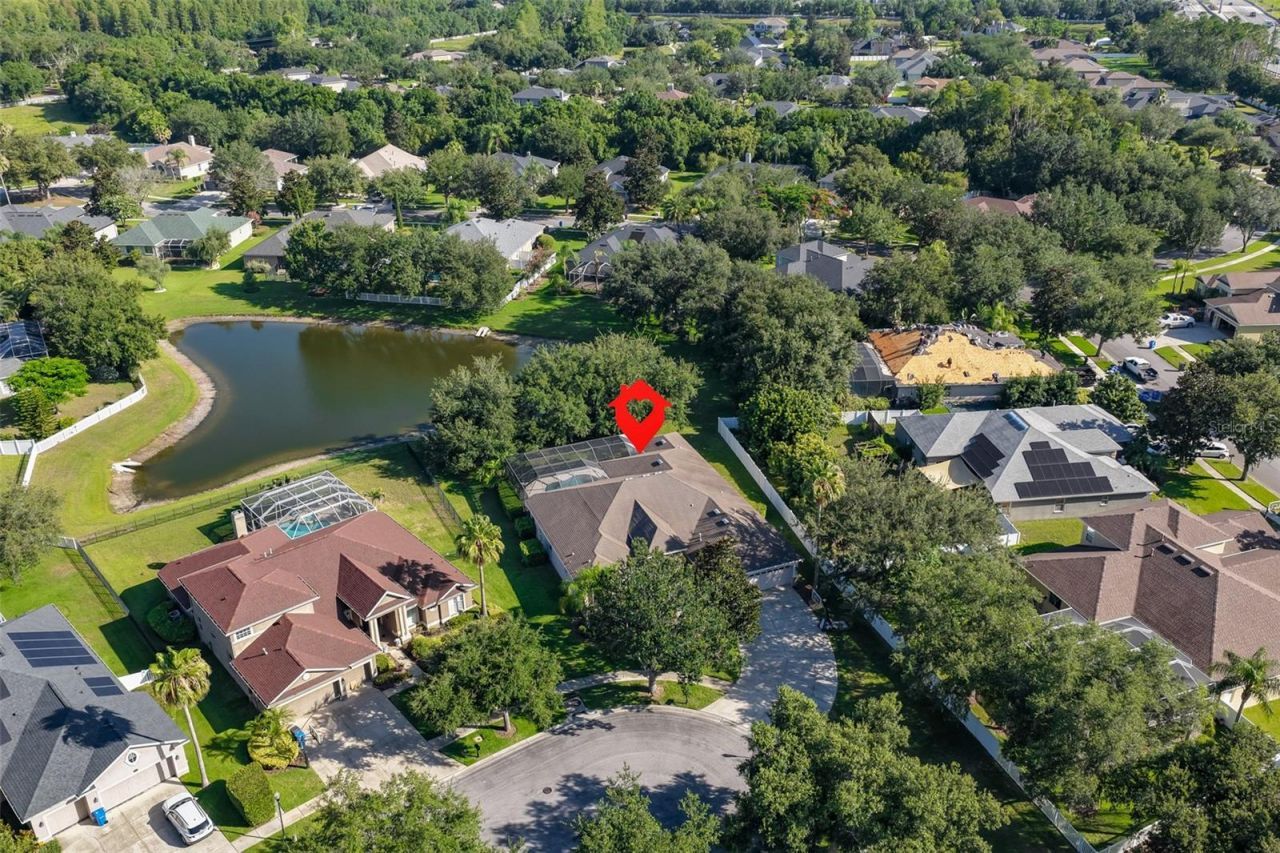 16508 Amberwind Lane, Lutz, FL 33558 Photo