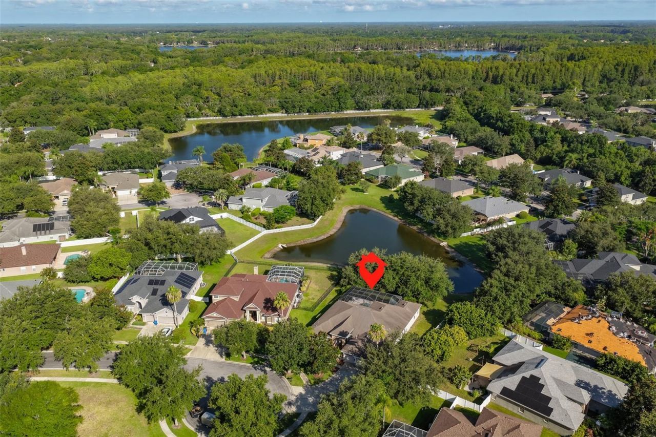 16508 Amberwind Lane, Lutz, FL 33558 Photo