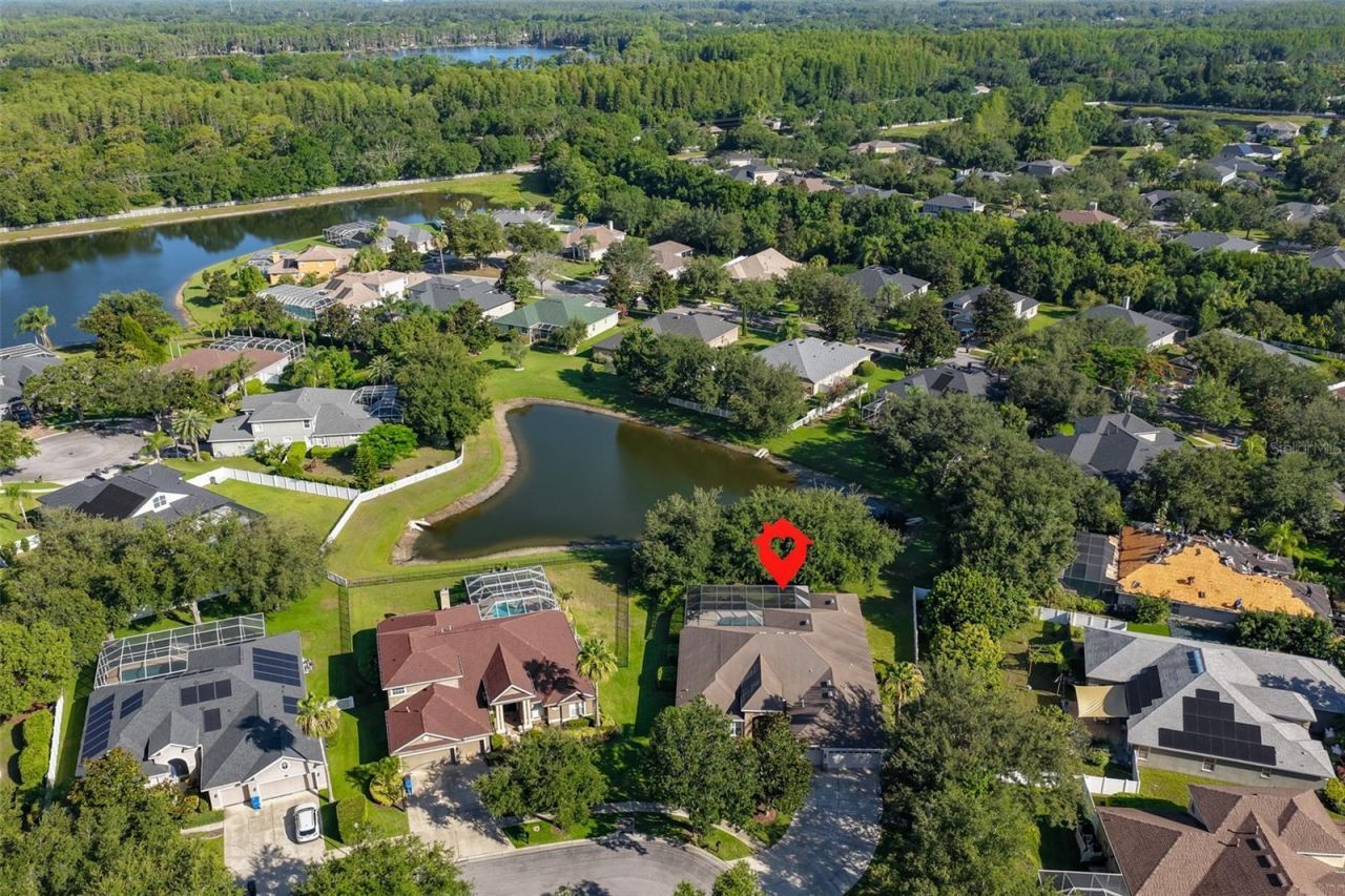 16508 Amberwind Lane, Lutz, FL 33558 Photo