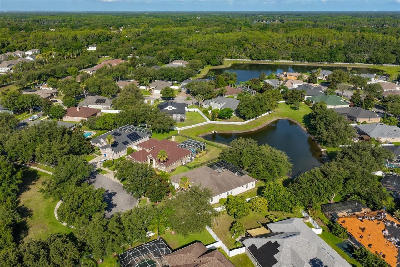 16508 Amberwind Lane, Lutz, FL 33558 Photo