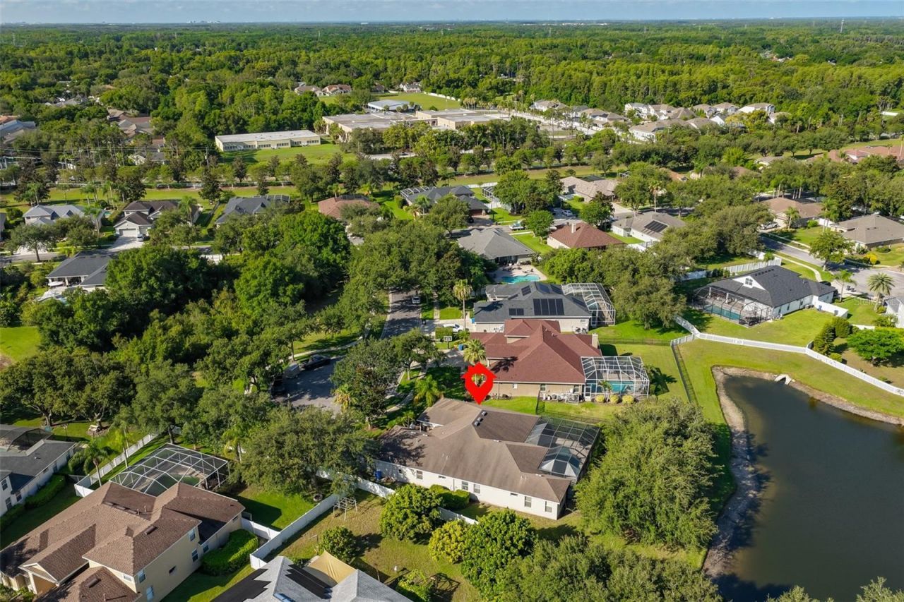 16508 Amberwind Lane, Lutz, FL 33558 Photo