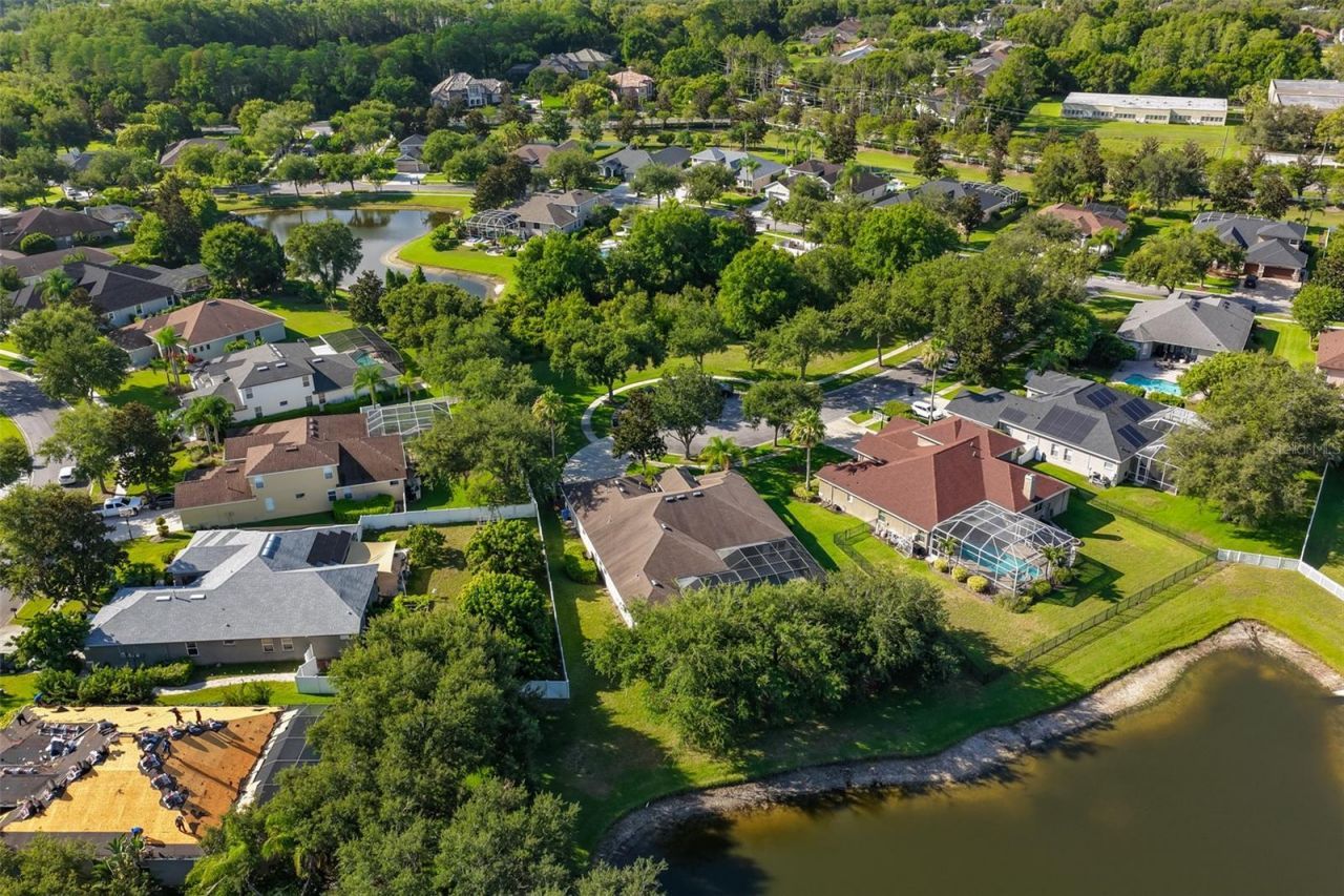 16508 Amberwind Lane, Lutz, FL 33558 Photo