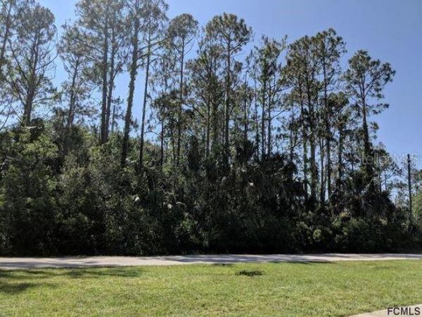 32 SERBIAN BELLFLOWER TRAIL , PALM COAST, FL 32164