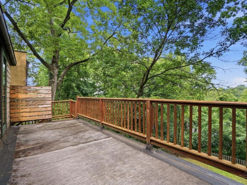 454 Wood Avenue, Cincinnati, OH 45220 Photo 36