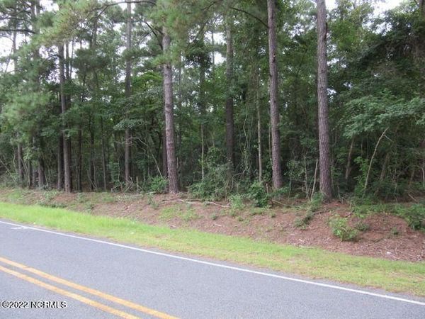 Near 484 John Spaulding Road , Clarkton, NC 28433