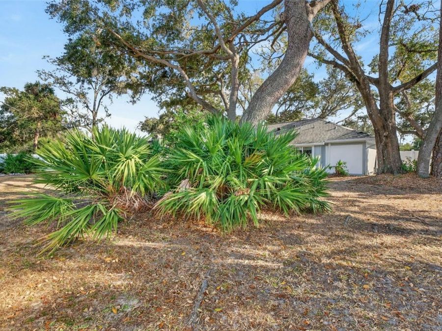 Property Image 60