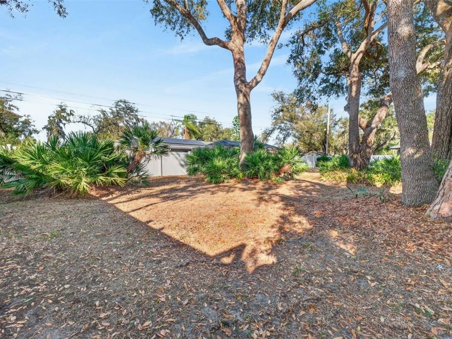 Property Image 62