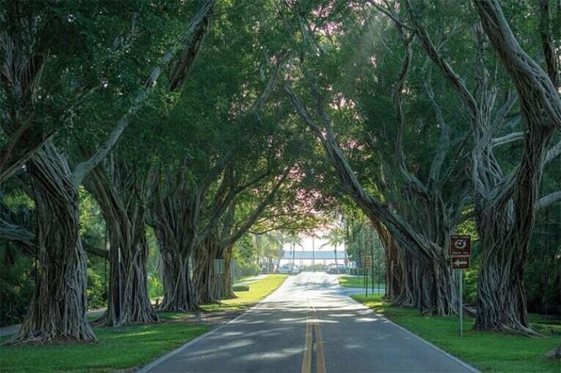 9025 SE Bridge Road, Unit A, Hobe Sound, FL 33455 Photo