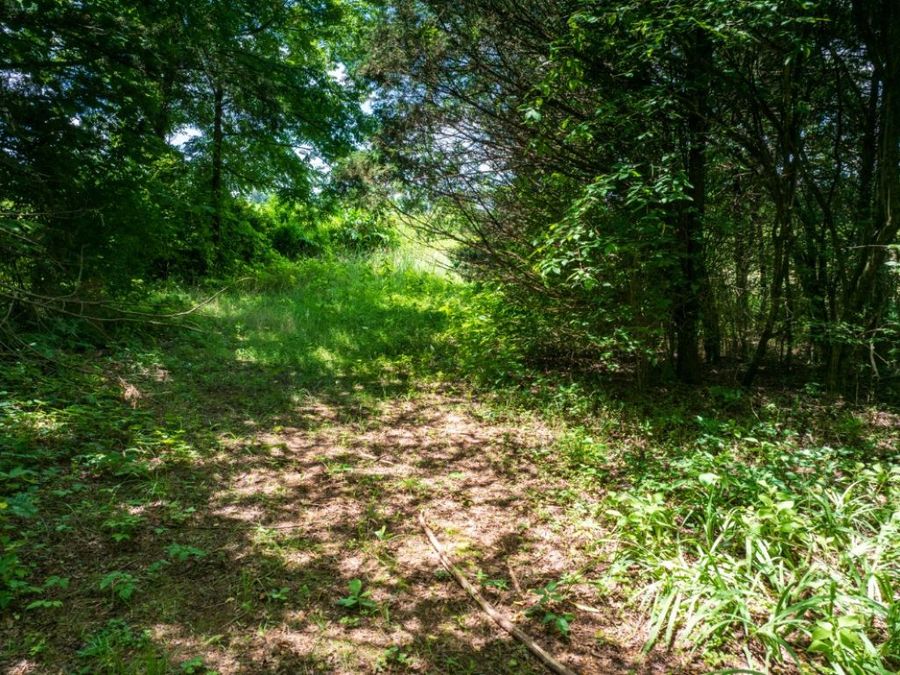 Property Image 30