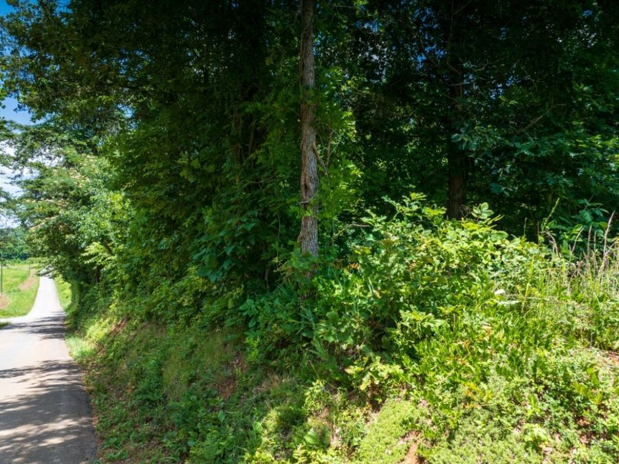 Property Image 35