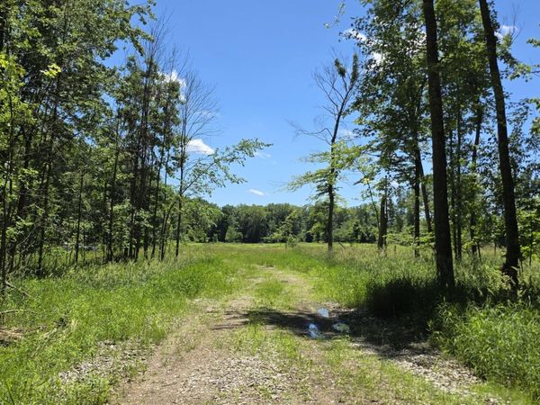 8250 14 Mile Road NE, Cedar Springs, MI 49319
