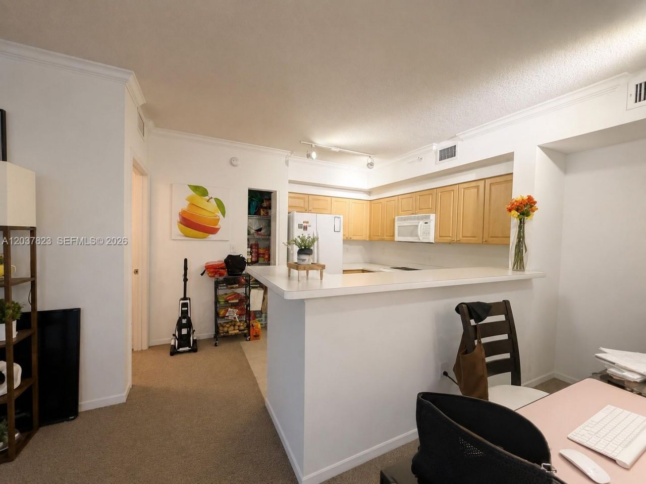 6861 SW 44th St , Unit 205, Miami, FL 33155 Photo