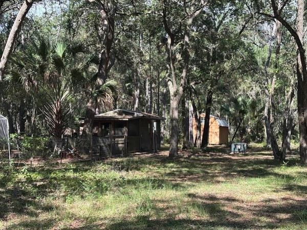 10415 NE 142ND PLACE , FORT MC COY, FL 32134