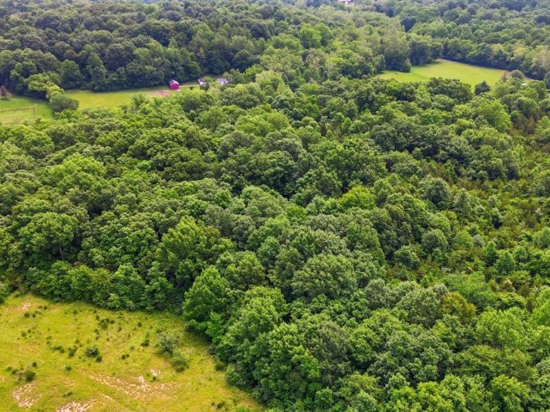 0 Hinkle Road, Unit Lot 1, Madison Twp, OH 45042 Photo 7