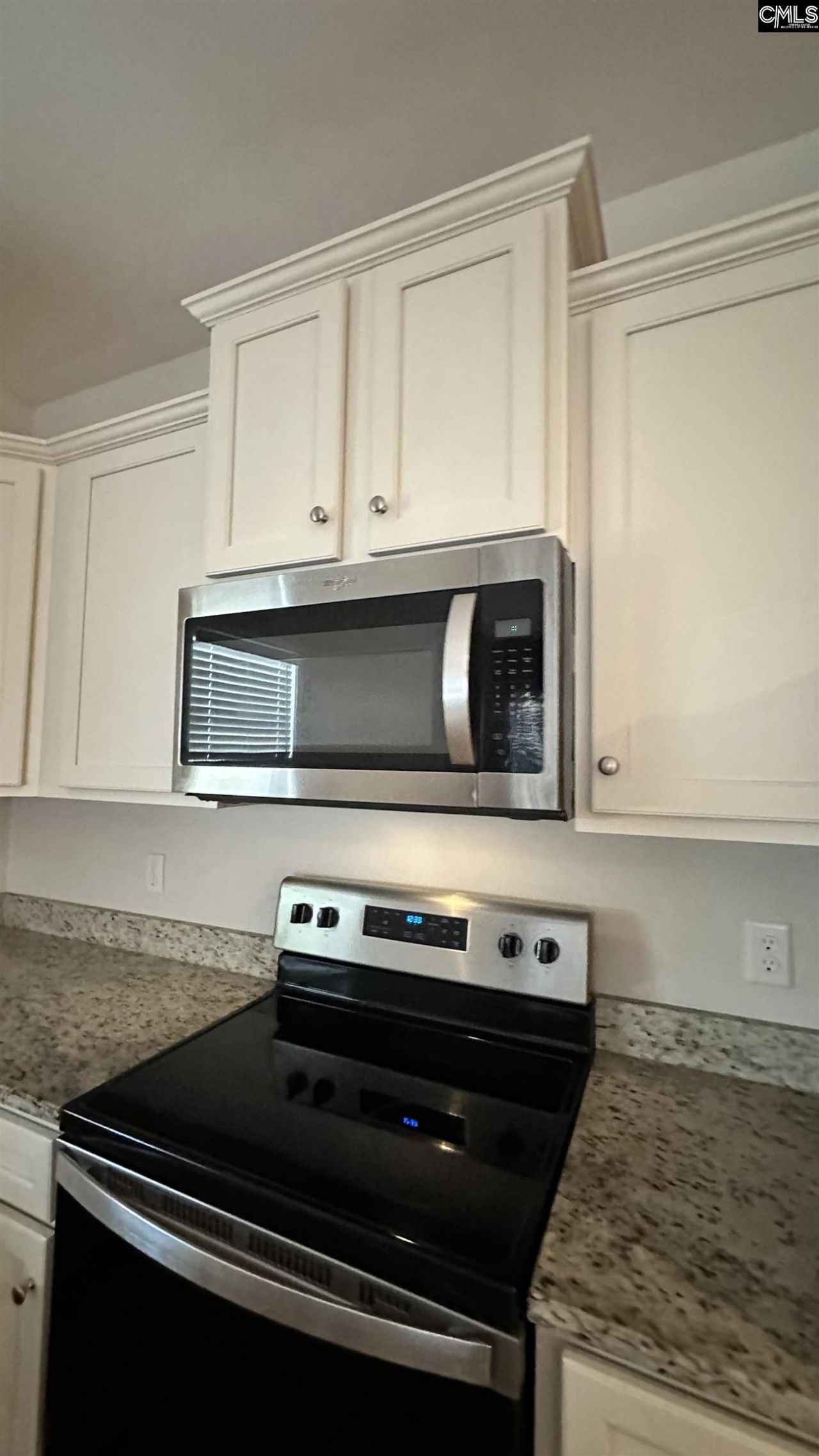 172 Wisley Garden Drive Photo 19