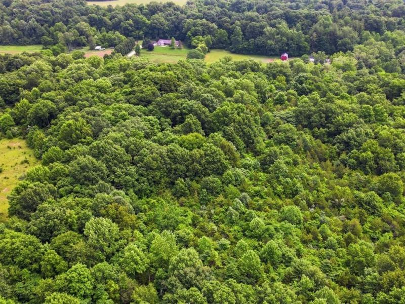 0 Hinkle Road, Unit Lot 2, Madison Twp, OH 45042 Photo 8
