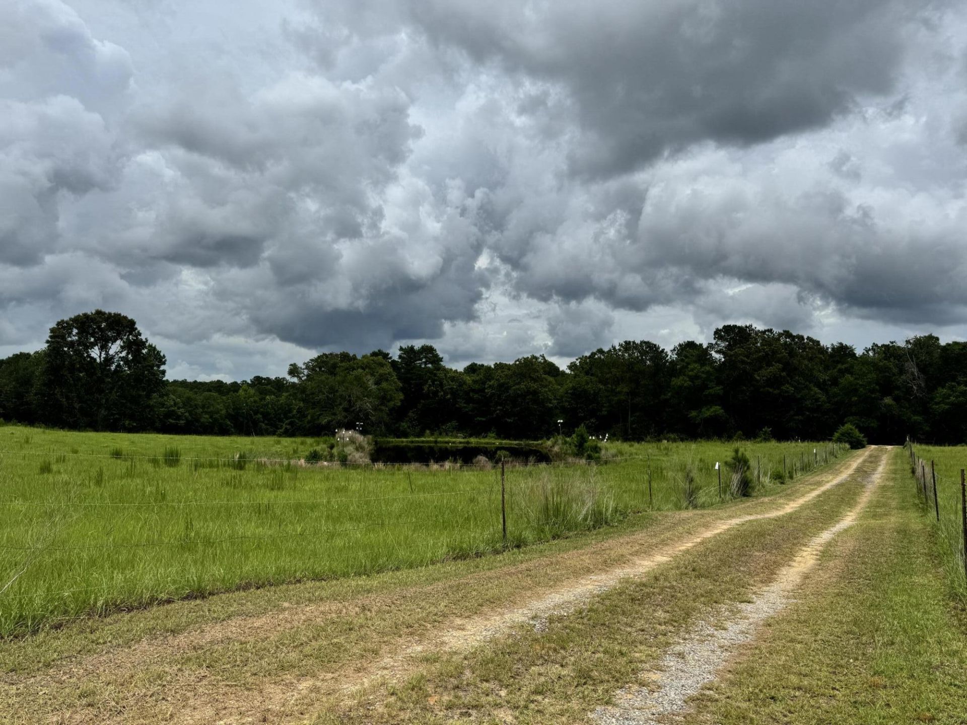 5901 M & K Lane, Florala, AL 36442 Main Photo