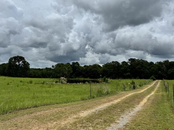 5901 M & K Lane, Florala, AL 36442