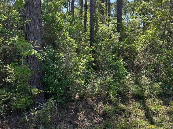 Parkview Lane, Pass Christian, MS 39571