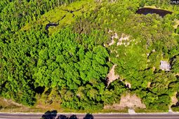 1018 Savannah Highway  photo 4