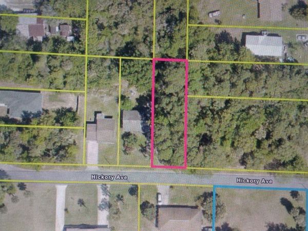 212 HICKORY AVENUE , OAK HILL, FL 32759