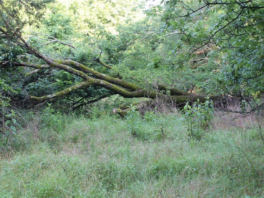Property Image 24
