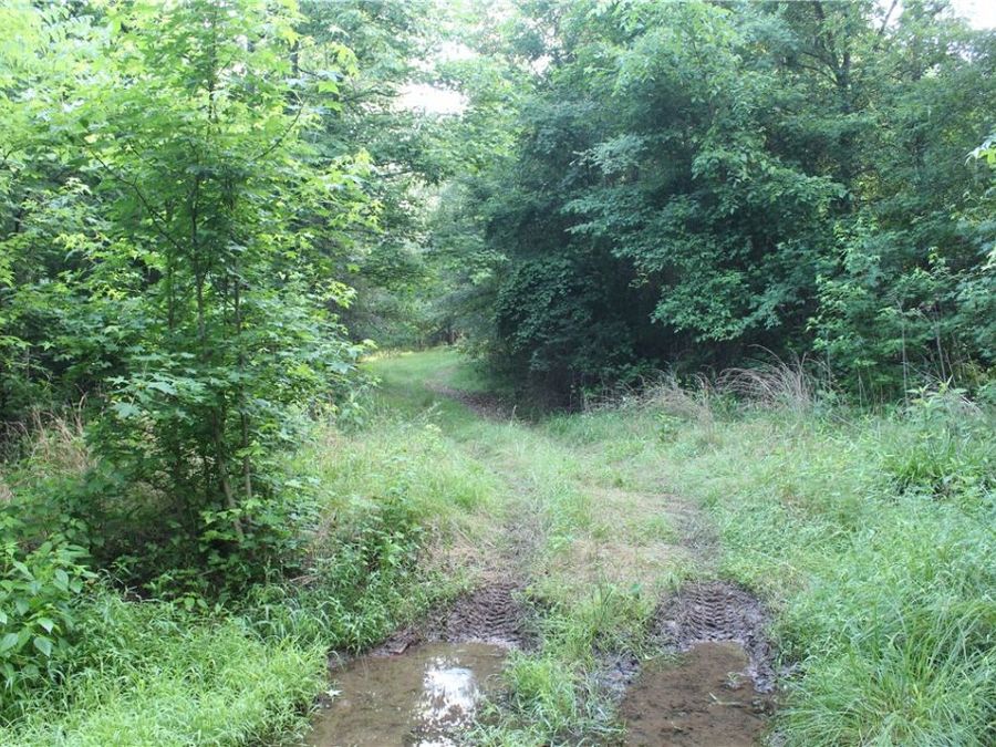 Property Image 27