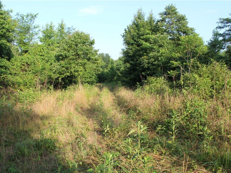 Property Image 30