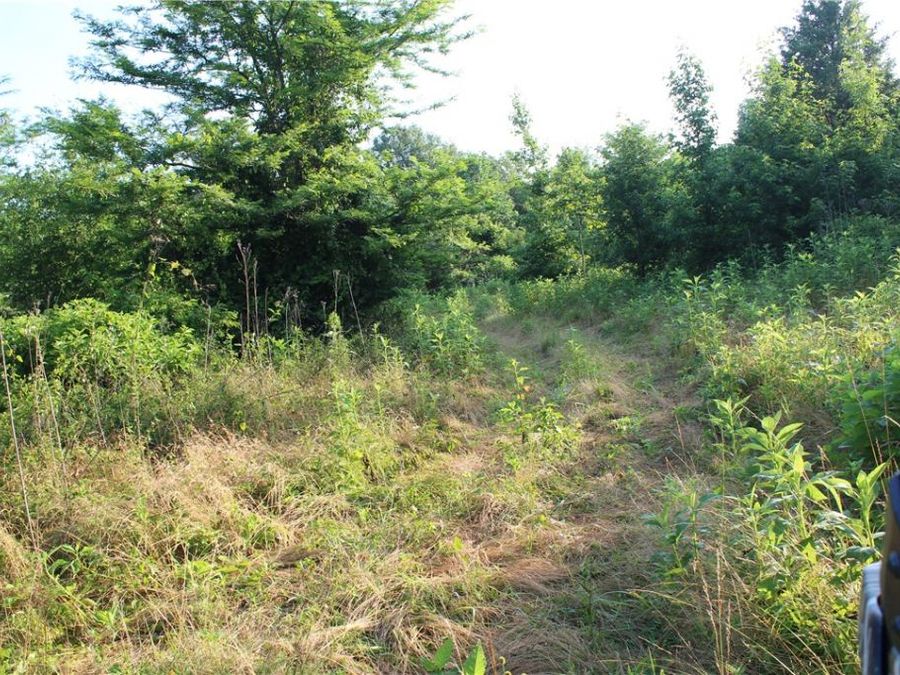 Property Image 31