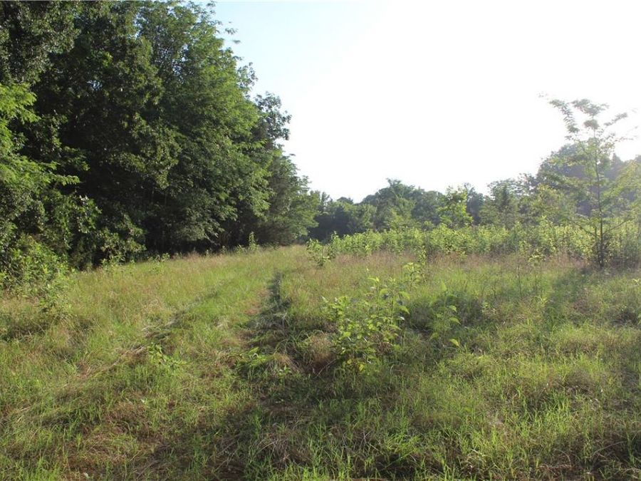 Property Image 33