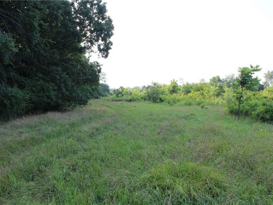 Property Image 35