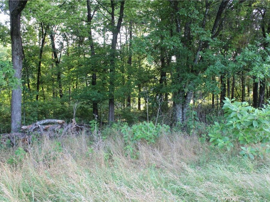 Property Image 37