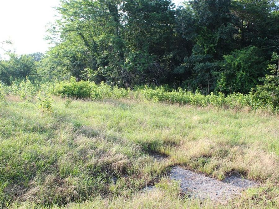 Property Image 50