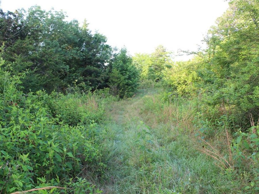 Property Image 51