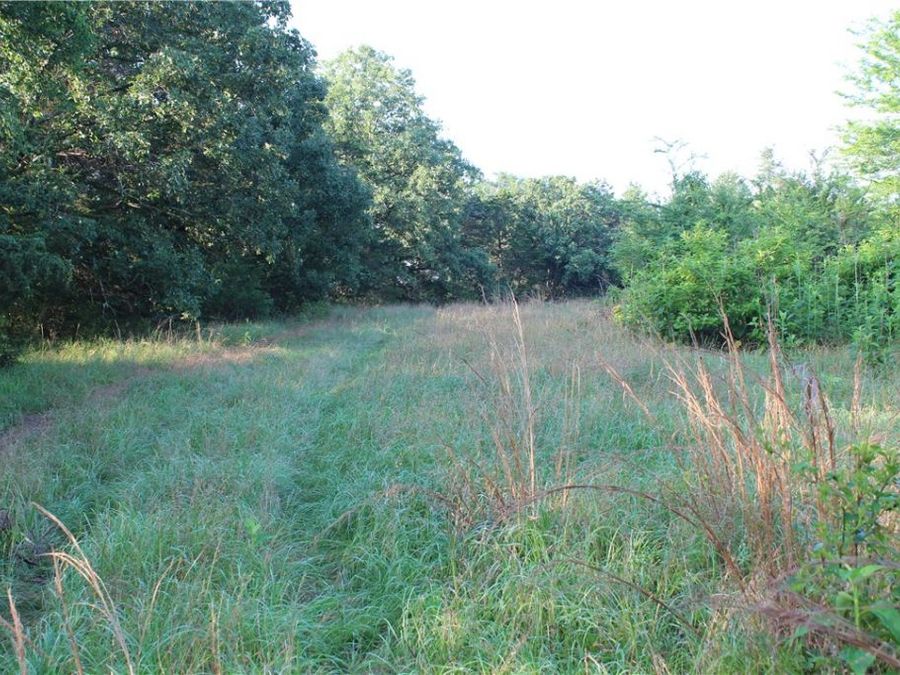Property Image 54