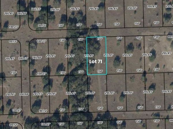 OFF NW CR 138 , Unit Lot 71, BRANFORD, FL 32008