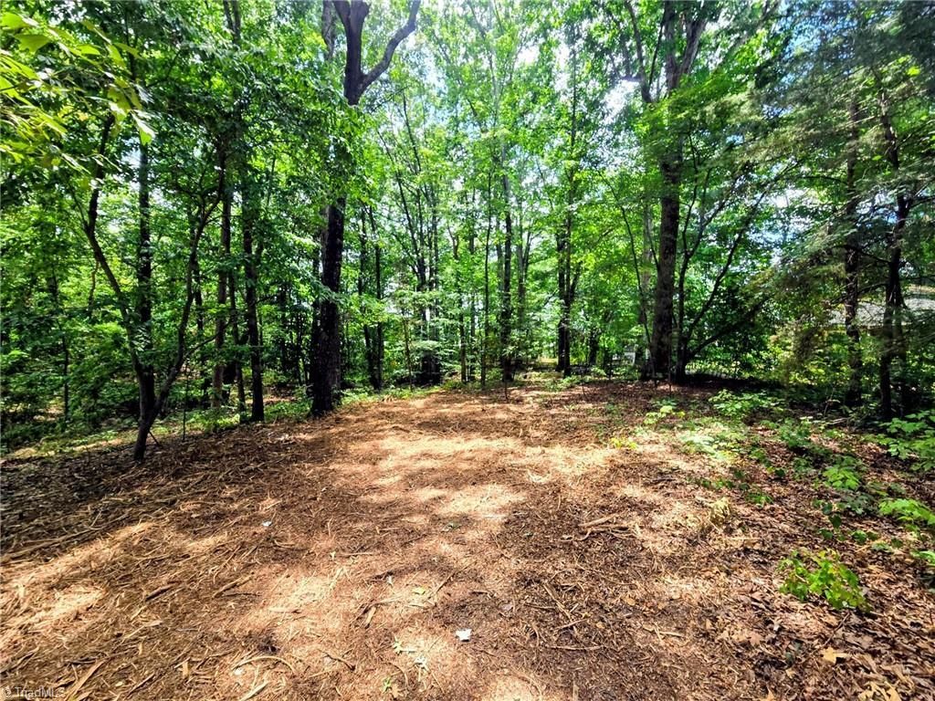 0 Idlewild Drive, Randleman, NC 27317 Main Photo