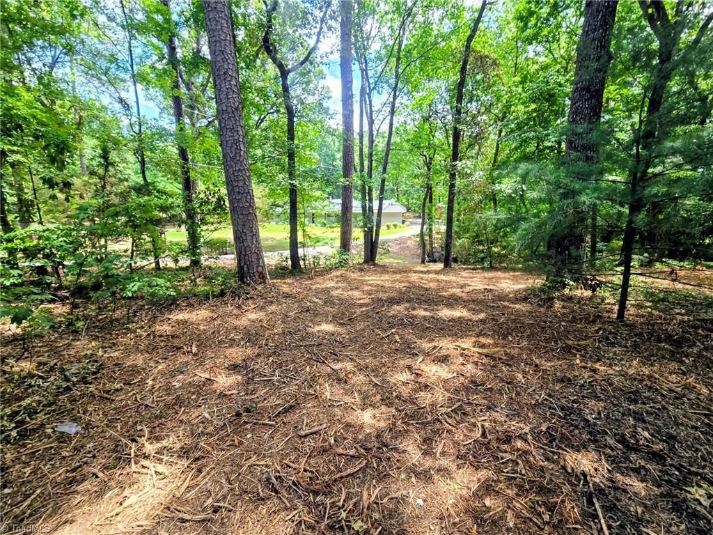 0 Idlewild Drive, Randleman, NC 27317 Main Photo