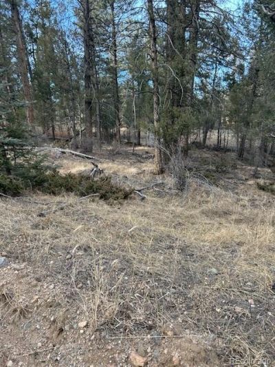 260 Ranch Resorts Drive, Florissant, CO 80816 Main Photo