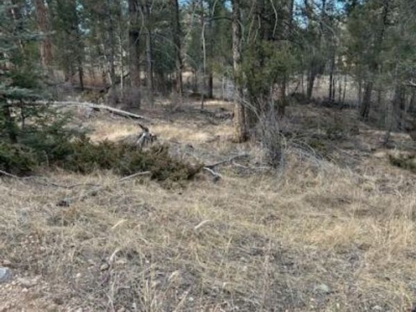260 Ranch Resorts Drive, Florissant, CO 80816